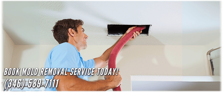 Air Duct Mold Removal in Spring TX